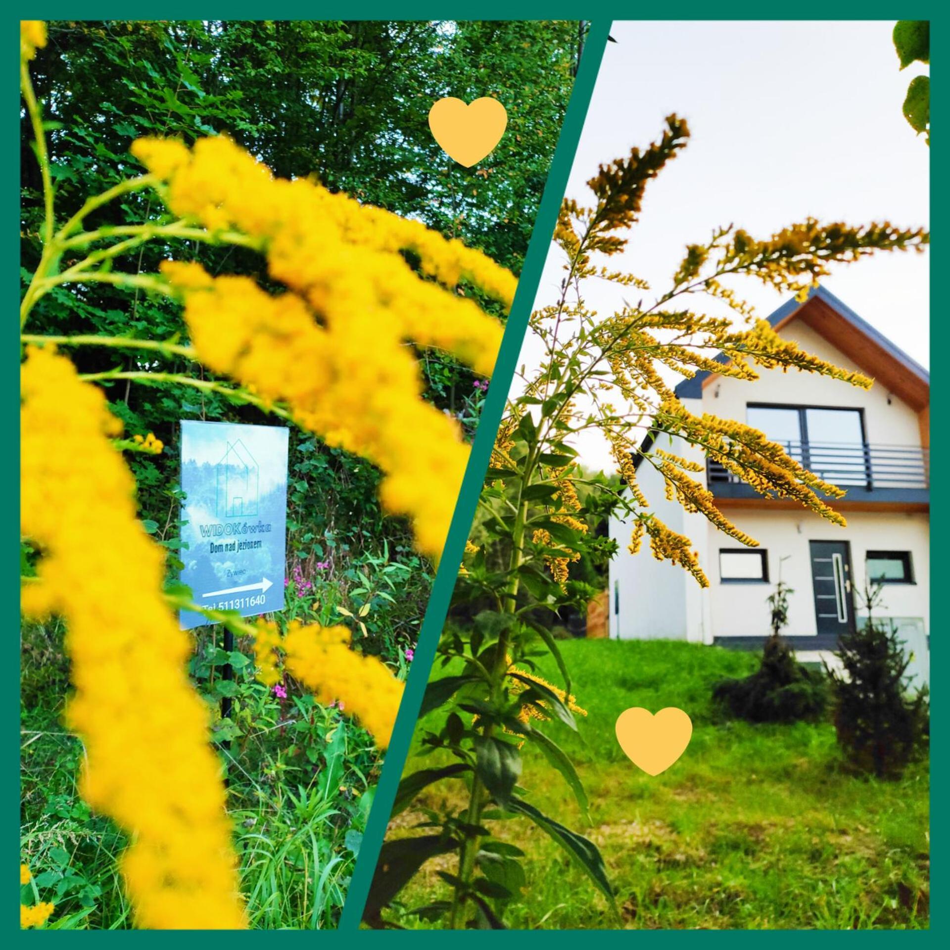 Dom Nad Jeziorem Widokowka Ferienhaus
